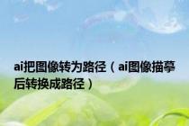 ai把图像转为路径（ai图像描摹后转换成路径）