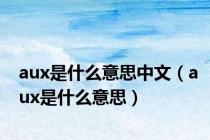 aux是什么意思中文（aux是什么意思）