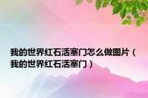 我的世界红石活塞门怎么做图片（我的世界红石活塞门）