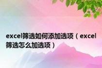 excel筛选如何添加选项（excel筛选怎么加选项）