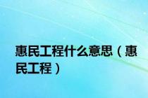惠民工程什么意思（惠民工程）