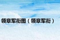 领章军衔图（领章军衔）