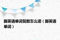 脚英语单词复数怎么读（脚英语单词）