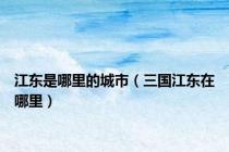 江东是哪里的城市（三国江东在哪里）