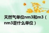 天然气单位nm3和m3（nm3是什么单位）