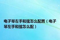 电子琴左手和弦怎么配置（电子琴左手和弦怎么配）
