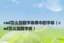 cad怎么加载字体库中的字体（cad怎么加载字体）