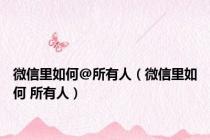 微信里如何@所有人（微信里如何 所有人）