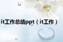 it工作总结ppt（it工作）