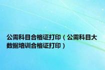 公需科目合格证打印（公需科目大数据培训合格证打印）
