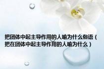 把团体中起主导作用的人喻为什么俗语（把在团体中起主导作用的人喻为什么）