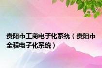 贵阳市工商电子化系统（贵阳市全程电子化系统）