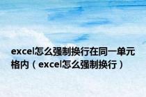 excel怎么强制换行在同一单元格内（excel怎么强制换行）