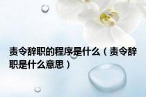 责令辞职的程序是什么（责令辞职是什么意思）