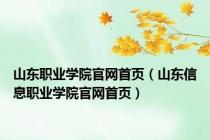 山东职业学院官网首页（山东信息职业学院官网首页）