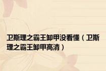 卫斯理之霸王卸甲没看懂（卫斯理之霸王卸甲高清）