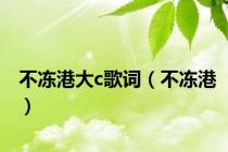 不冻港大c歌词（不冻港）