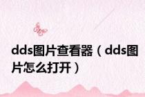 dds图片查看器（dds图片怎么打开）