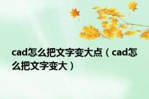 cad怎么把文字变大点（cad怎么把文字变大）