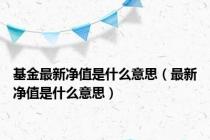 基金最新净值是什么意思（最新净值是什么意思）