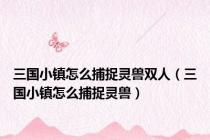 三国小镇怎么捕捉灵兽双人（三国小镇怎么捕捉灵兽）