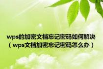 wps的加密文档忘记密码如何解决（wps文档加密忘记密码怎么办）