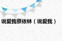说爱我蔡依林（说爱我）