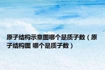 原子结构示意图哪个是质子数（原子结构图 哪个是质子数）