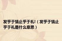 发乎于情止乎于礼!（发乎于情止乎于礼是什么意思）