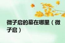 微子启的墓在哪里（微子启）