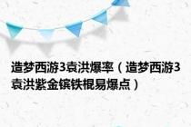 造梦西游3袁洪爆率（造梦西游3袁洪紫金镔铁棍易爆点）