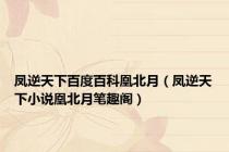 凤逆天下百度百科凰北月（凤逆天下小说凰北月笔趣阁）