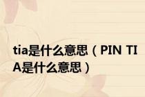tia是什么意思（PIN TIA是什么意思）