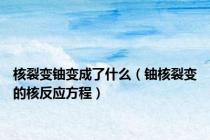 核裂变铀变成了什么（铀核裂变的核反应方程）
