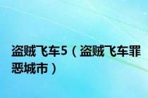 盗贼飞车5（盗贼飞车罪恶城市）