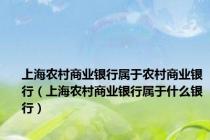 上海农村商业银行属于农村商业银行（上海农村商业银行属于什么银行）