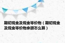 期初现金及现金等价物（期初现金及现金等价物余额怎么算）