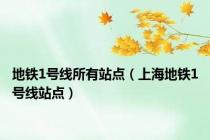 地铁1号线所有站点（上海地铁1号线站点）