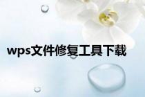 wps文件修复工具下载