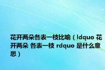 花开两朵各表一枝比喻（ldquo 花开两朵 各表一枝 rdquo 是什么意思）