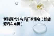 新能源汽车电机厂家排名（新能源汽车电机）