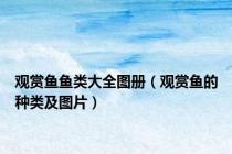 观赏鱼鱼类大全图册（观赏鱼的种类及图片）