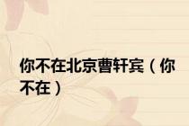 你不在北京曹轩宾（你不在）