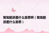 匍匐前进是什么意思啊（匍匐前进是什么意思）
