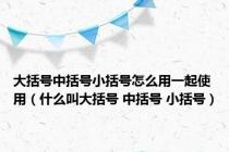 大括号中括号小括号怎么用一起使用（什么叫大括号 中括号 小括号）