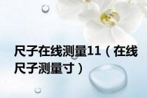 尺子在线测量11（在线尺子测量寸）