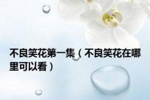 不良笑花第一集（不良笑花在哪里可以看）