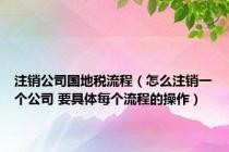 注销公司国地税流程（怎么注销一个公司 要具体每个流程的操作）