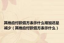 其他应付款借方表示什么增加还是减少（其他应付款借方表示什么）