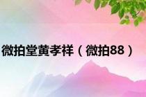 微拍堂黄孝祥（微拍88）